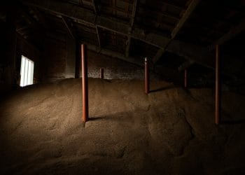 AB’nin dış politika şefi, Rusya’nın gıda ihracatını bloğue bir ‘savaş suçu’ olduğunu söylüyor.