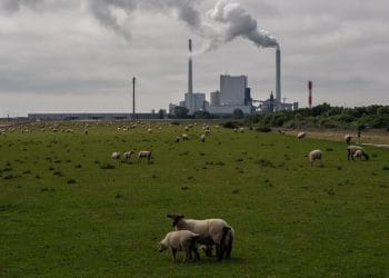 Alman Şirketleri Putin’in Gazi Kesme Tehdidine Nasıl Bakıyor?