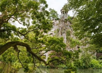 Paris Ağaçlarına Hayran Olmak