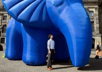 Milyonlarca Euro’yu Miras Aldı.  Servetinin Vergilendirilmesini İstiyor.