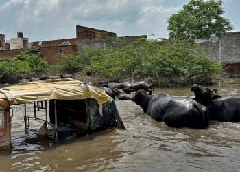 Dünyanın Etrafında, Hiçbir Rahatlama İşareti Olmadan Yakıcı Sıcak