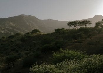 Charles Darwin Yeşil Burun Adaları’ndan Nasıl İlham Buldu?