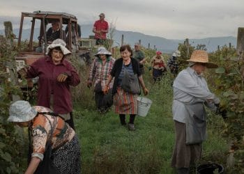 Rusya’ya Uzun Süre Bağlı Olan Gürcistanlı Şarap Üreticileri Batı’ya Bir Bardak Bahşetti