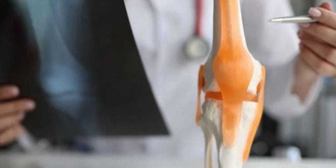 Kemik Sıhhati Için Beslenme Rehberi: Hangi Besinler Yararli, Hangileri Ziyanli?