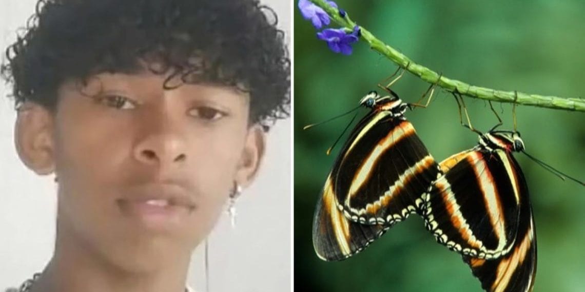 Ölülcöle Deneyin Kurbanı Oldu: Brezilya Genç, Kelebek Zehriyle Can Verdi