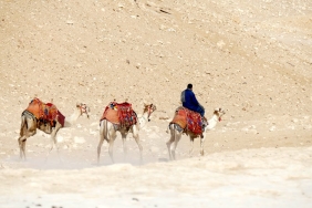 CERN8217den-Tarihi-Antimadde-Tasimasi-Bilimde-8-Metrelik-Dev-Adim-featured