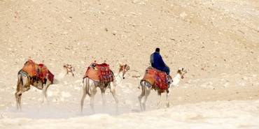 CERN8217den-Tarihi-Antimadde-Tasimasi-Bilimde-8-Metrelik-Dev-Adim-featured