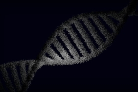 DNA8217dan-Yasama-Genetik-Kodlama-Nasil-Isler-ve-Neden-Kilit-Oneme-Sahip-featured