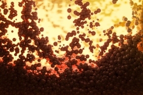 Atomlarimiz-Bosluk-Olsa-da-Duvardan-Neden-Gecemeyiz-featured