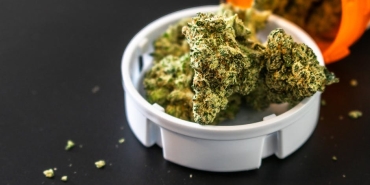 Tibbi-Kenevir-ve-Psikiyatrik-Hastaliklar-Bilim-Ne-Diyor-featured